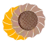 Cookie